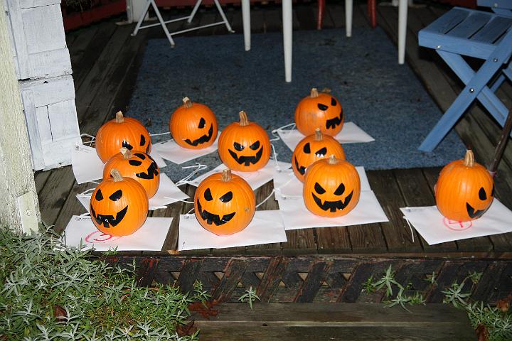 IMG_8355.JPG