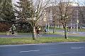 IMG_8200