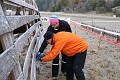 IMG_7314