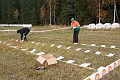 IMG_7341