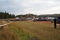 IMG_7381