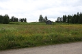 IMG_4466
