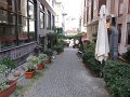 IMG_1263