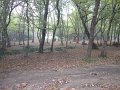IMG_1377