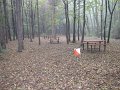 IMG_1380