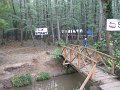 IMG_1387
