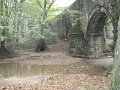 IMG_1392