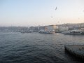 IMG_1477