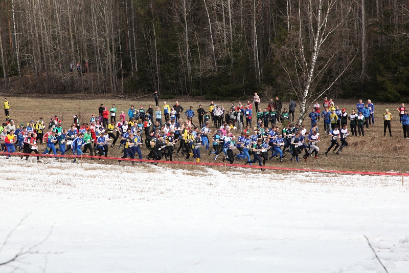 IMG_8090.JPG