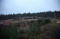 IMG_2950