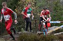 IMG_3372