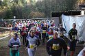 IMG_3649