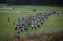 IMG_8221