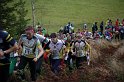IMG_8228