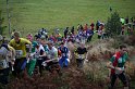 IMG_8229