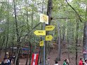 DSC00790