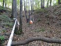 DSC00798
