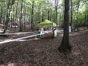 DSC00809