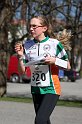 IMG_4517