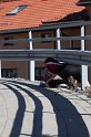 IMG_4848