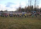 IMG 1733