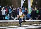 IMG 2161