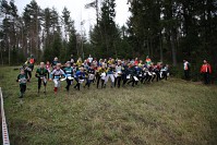 IMG_4781