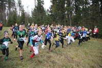 IMG_4785