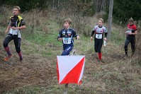 IMG_5011