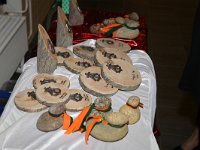IMG 8579