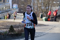 IMG 4537