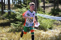 IMG 5248