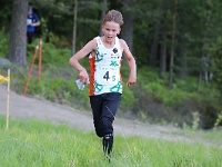 IMG 5558