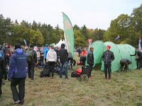 IMG 7195