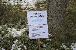 IMG 8837