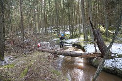 IMG 8917