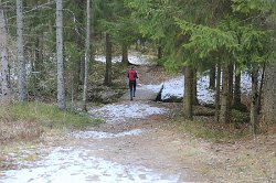 IMG 9037