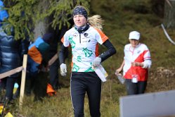 silja2017 12