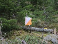 IMG 1756