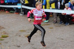 IMG 3041