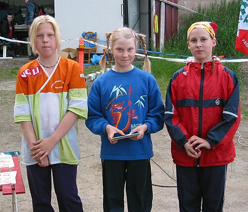 D12TR k�rkikolmikko.JPG