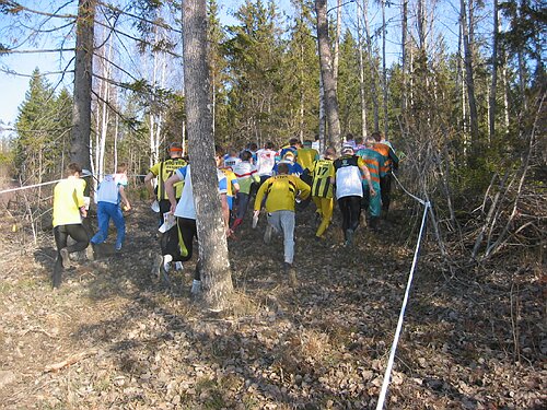 IMG_4665.JPG